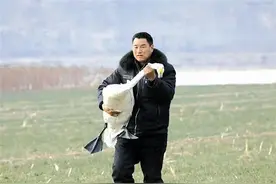 2024三门峡市“十大好人”｜一位本土摄影家的“护鸟”之路图片