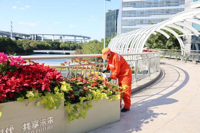 高颜值！闵行这里也太美啦，约吗→