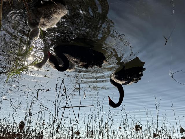 小雪宜出游，颐和园里游人赏初冬美景