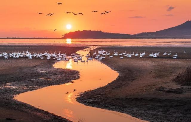 追光行动丨文旅年卡免费送！速速来集合