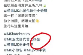 写错代言人名字，轻奢品牌MK向杨紫致歉图片