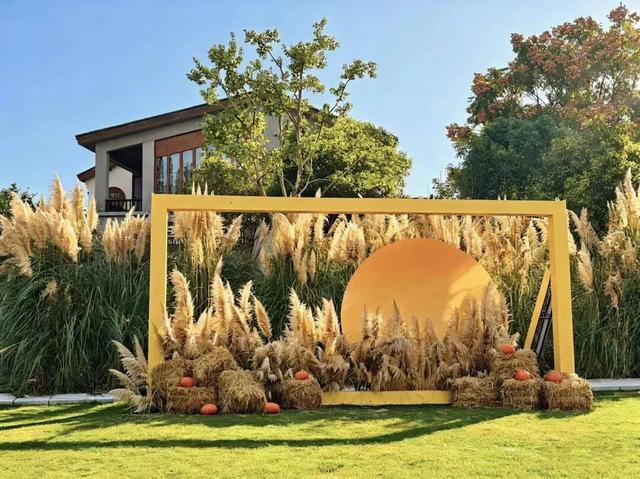 骑行天花板！这条5.6km治愈路线，串联森林与田园风光