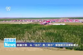 新疆沙雅：从“治沙”到“用沙”探索防沙治理新模式图片
