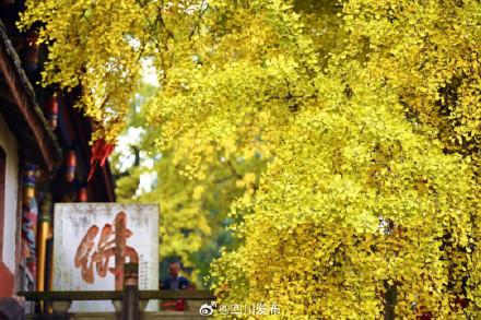 四川这份深秋限定浪漫，等你“淘”取！