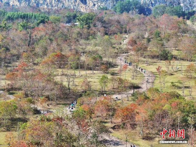 2025桂林漓江徒步大会吸引万人向漓江而行