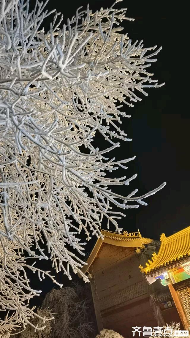 泰山雾凇的梦幻之夜