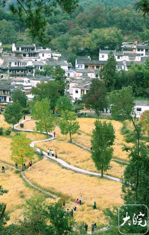 安徽黟县：斑斓塔川惹人醉