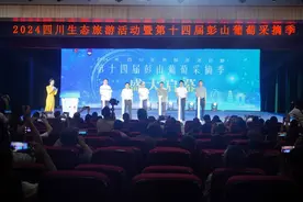 全国那么多葡萄，彭山葡萄为何格外优秀？图片