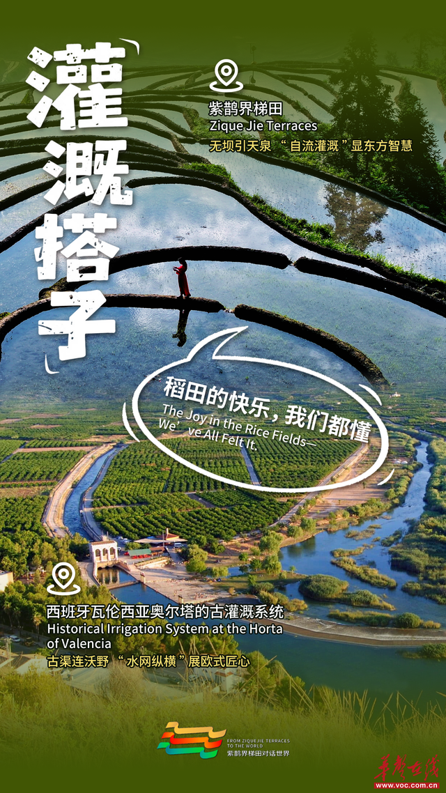 【双语海报】紫鹊界全球“摇人”：解锁我的世界级神仙搭子