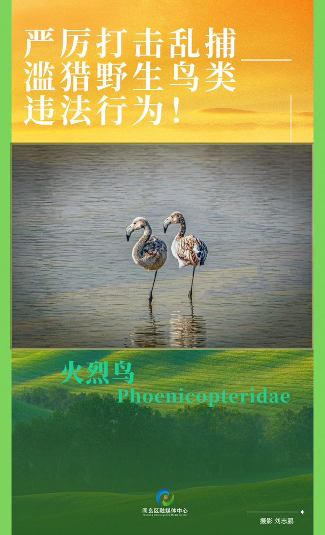 2025西安航空航天体验消费嘉年华7月18日盛大来袭！