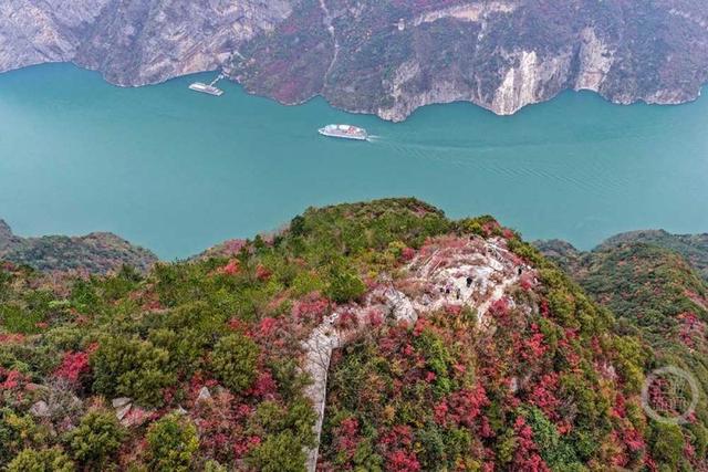 大地“披浓妆” 巫峡红叶进入最佳观赏期