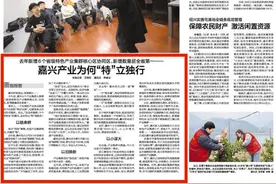 嘉兴产业为何“特”立独行图片