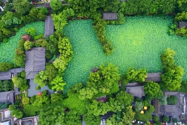 跟着世运游成都！这份游玩推荐请收下→