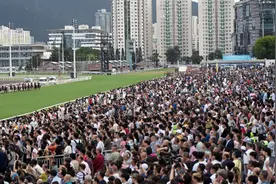 从化马场地标式看台封顶，2026年起办国际水平常规赛事图片