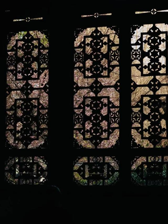 已开！成都怎么提前过上“春天”了