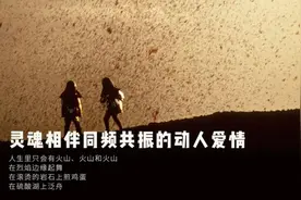 北大名师给孩子的书，邂逅火山的浪漫与壮观图片