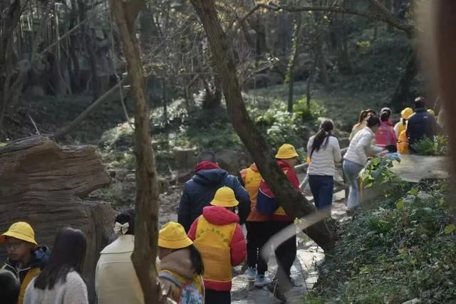 句容的外面是什么？