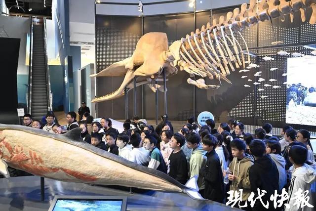 黄海湿地博物馆入选“十佳研学基地”