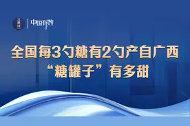 中国有数｜全国每3勺糖有2勺产自广西，“糖罐子”有多甜图片
