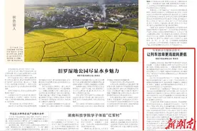 专家畅谈永磁驱动技术：让列车效率更高能耗更低|湖南日报图片