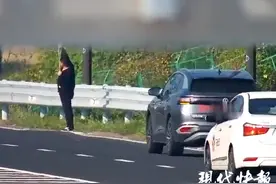 离谱！男子高速上违停，竟是为了用弹弓打鸟图片