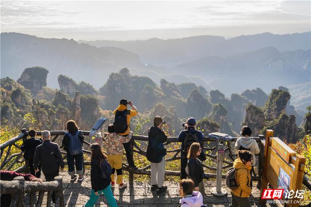 【每日一图@湖南】张家界暖冬限定！天子山暖阳沐峰林