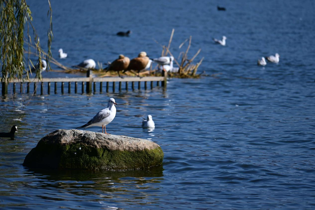 不止大理丽江！云南这些宝藏小城你去过几个