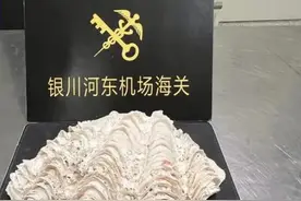 它是《西游记》藏唐僧的大贝壳，敢买卖它？可真“刑”！图片