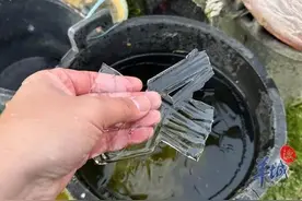 广东冻到结冰！还会更冷吗？图片