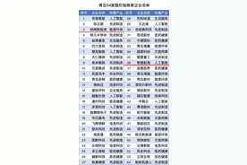 蓝谷独角兽后备军再扩容！纳晖科技、智慧航海获评“2024中国隐形独角兽企业”图片