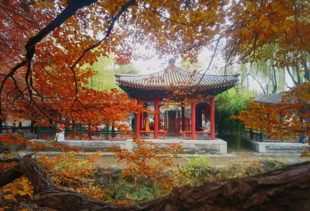 颐和园的秋天太美了