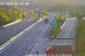 高速上放飞2000只赛鸽，导致半挂车挡风玻璃被撞裂！这两位货车司机被处罚了图片