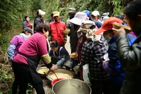 跨越千里来采茶：千名豫陕采茶工与大竹白茶的“春日之约”图片