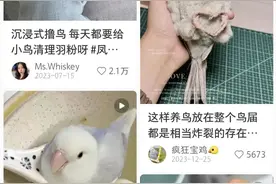 突然火了！不少人爱上了这事…杭州老板：最贵的要三万元图片