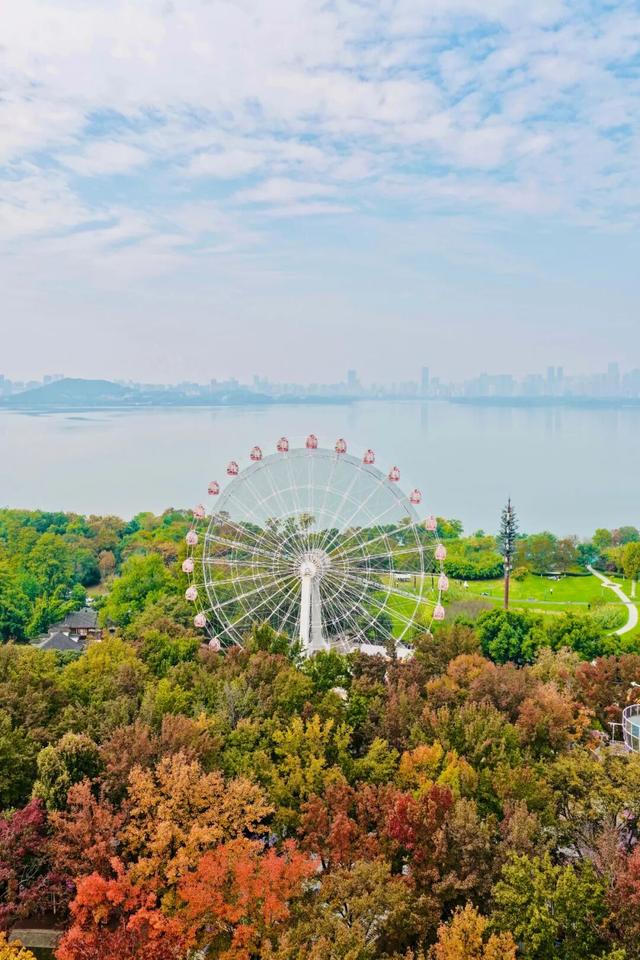 东湖秋日图鉴③｜磨山秋笺：一叶一诗，帧帧藏秋韵