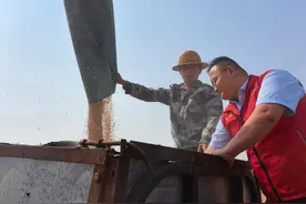 茌平农商银行： “贷”动种粮大户走上致富路图片