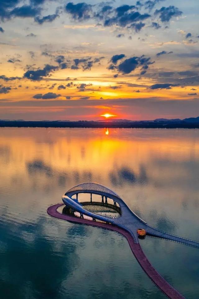 苏州湾⇋七都双塔！夏日骑行浪漫直达！