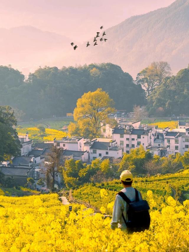 2026来江西，春夏秋冬都有趣！