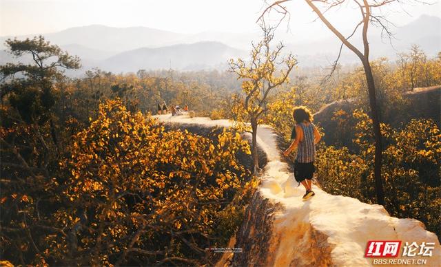 你也在追寻什么吗？也许答案就在下一片枫叶里