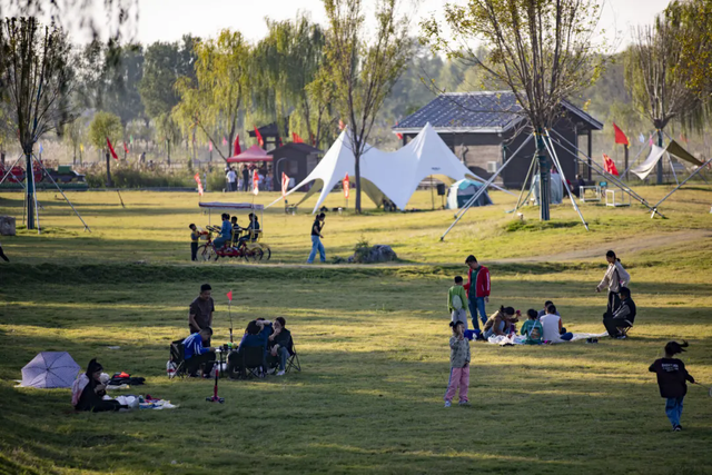荣耀时刻！东平湖文旅集团荣膺“2025年中国文旅运营标杆企业”