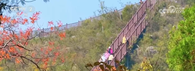 “枫叶+”燃动秋日文旅消费“热引擎” 以旅促农增收再添“金钥匙”