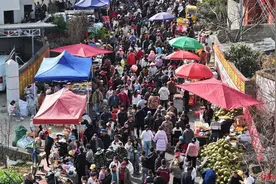 场面壮观！四川德昌数万人元宵节赶草坝场，体验“以物换物”民俗图片