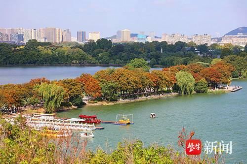 南京多处景区秋意浓浓