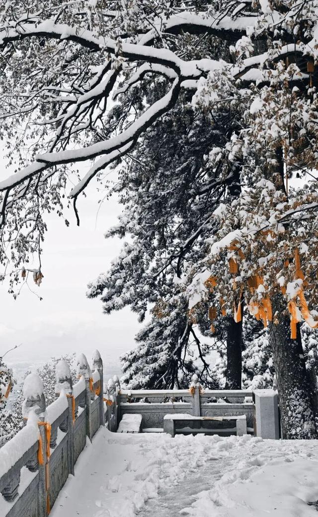 走！进山看西安2025冬天第一场雪！