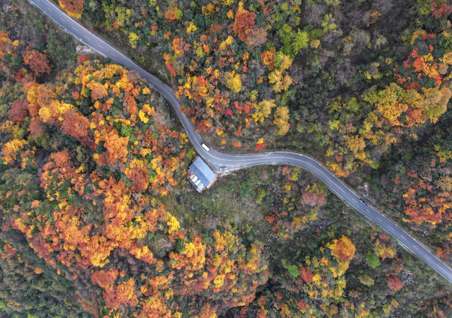 余先怀专栏｜秋染十八月潭