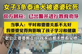 女子3条泰迪犬被婆婆砍死，官方回应：已出警并进行教育劝导。当事人：平时和婆婆关系不太好，我婆婆觉得狗影响了孩子学习和健康。老公让婆婆搬走了，我永远都不想看见她图片