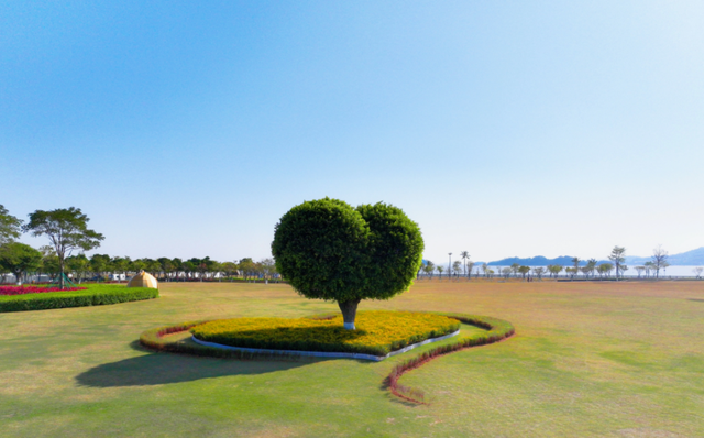 上新！珠海“顶流爱心树”浪漫升级，出片率100%！