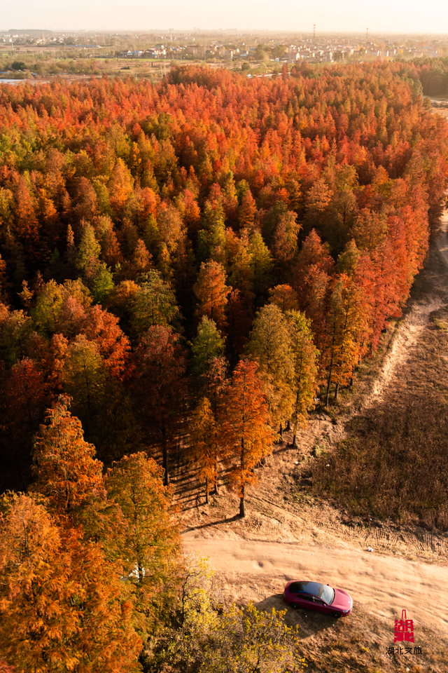 寒潮倒计时！再不来就迟了
