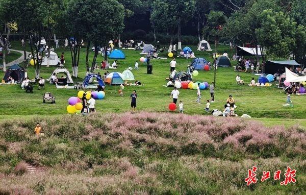 二妃山公园粉黛喊你来打卡