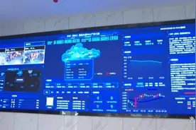 浠水：三链同构、四网同步，赋能蛋鸡产业高质量发展图片